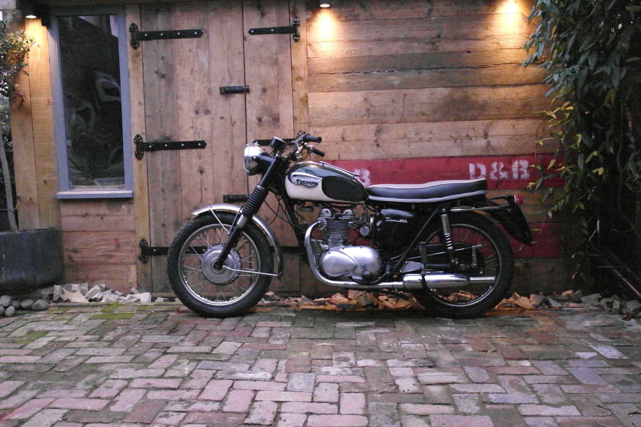 Triumph T100SS photograph 2