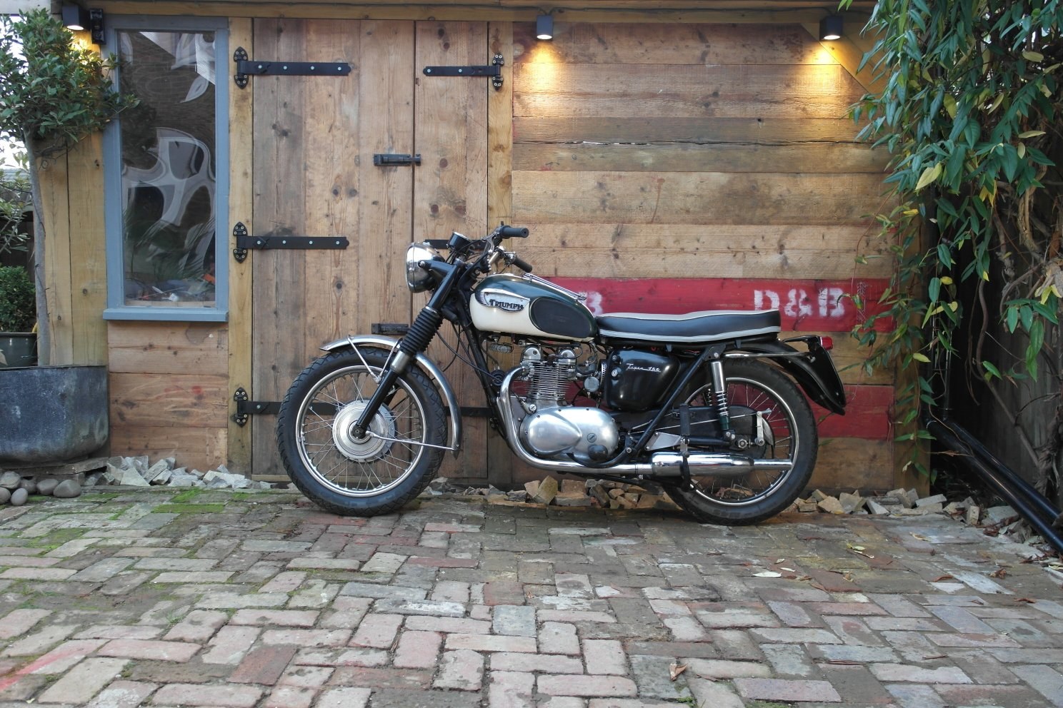 Triumph T100SS